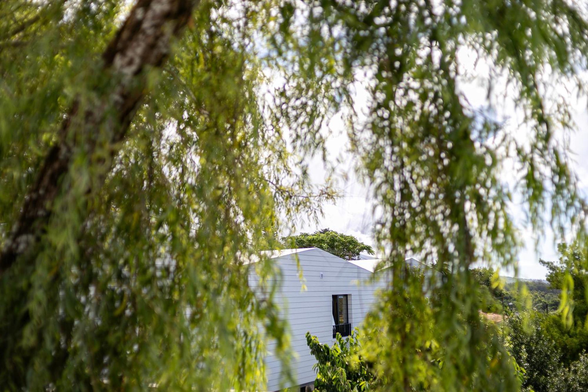 Willa Solar Branco Eco Estate Ponta Delgada Zewnętrze zdjęcie