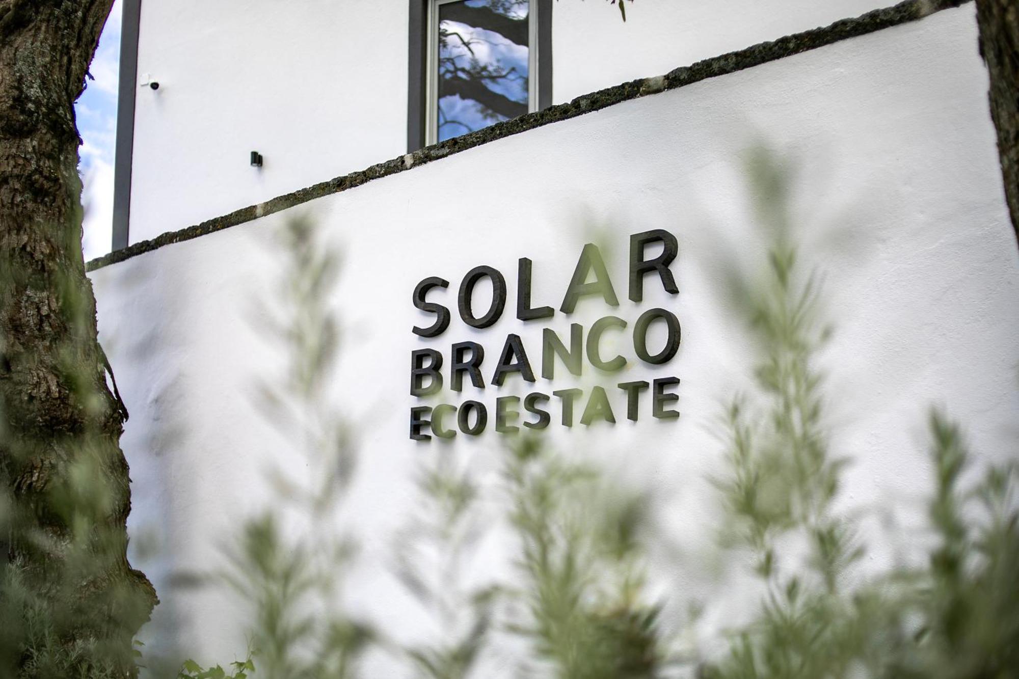 Willa Solar Branco Eco Estate Ponta Delgada Zewnętrze zdjęcie