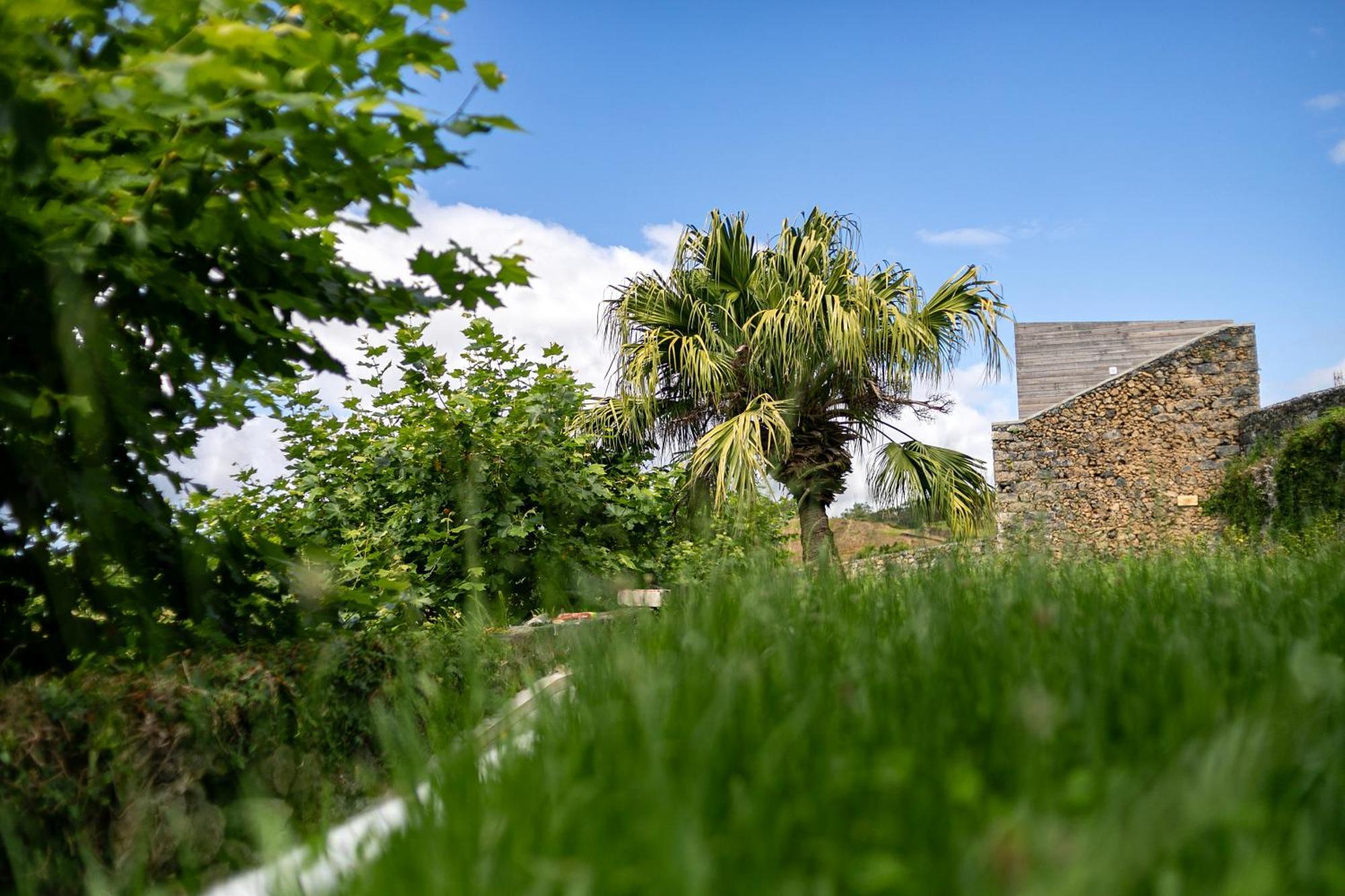 Willa Solar Branco Eco Estate Ponta Delgada Zewnętrze zdjęcie